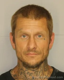 Mugshot of JASON R ROGERS booked in Allegany County, New York on June 16, 2026