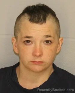 Mugshot of ASHLEY SWEET booked in Allegany County, New York on March 21, 2026