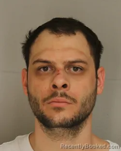 Mugshot of RYAN SWEARER booked in Allegany County, New York on May 13, 2026