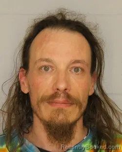 Mugshot of THOMAS C LEE