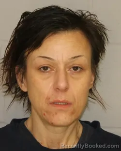 Mugshot of HANNAH L JONES booked in Allegany County, New York on March 26, 2026