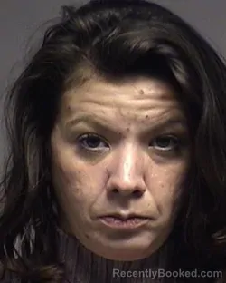 Mugshot of Sarah Elizabeth Mikoda booked in Broome County, New York on July 30, 2026