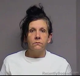 Mugshot of Allison Ann Henderson booked in Broome County, New York on April 30, 2026
