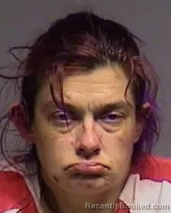 Mugshot of Teri-Lyn Jones