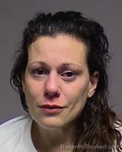 Mugshot of Deanna Marie Piccirilli