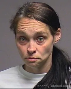 Mugshot of Michele Lynne Turk booked in Broome County, New York on July 27, 2026