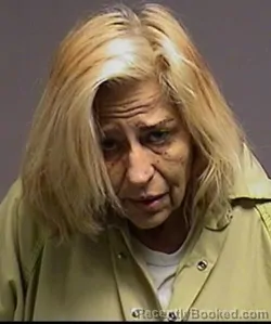 Mugshot of Donna L Reitz