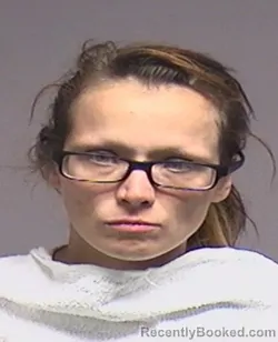 Mugshot of Sarah Marie Noble booked in Broome County, New York on September 25, 2026