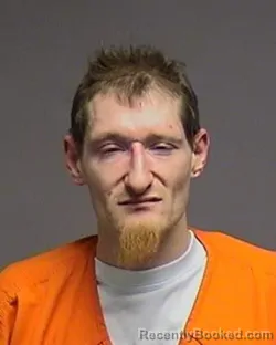 Mugshot of JAMES MICHAEL LEONARD