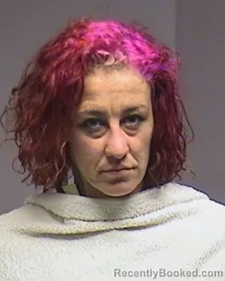 Mugshot of Paige Marie Morneau booked in Broome County, New York on June 14, 2026