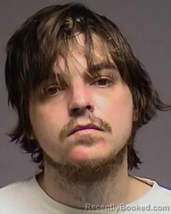 Mugshot of Dylan Robert Weidow