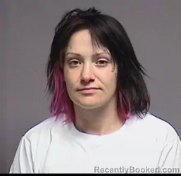 Mugshot of Sara Nicole Lewis booked in Broome County, New York on July 29, 2026