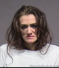Mugshot of Amanda Marie Ackley booked in Broome County, New York on July 29, 2026