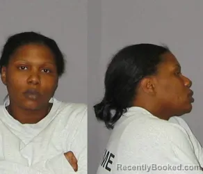 Mugshot of Katrina N Johnson booked in Broome County, New York on July 24, 2026