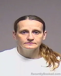 Mugshot of Elizabeth Anne Reid booked in Broome County, New York on September 29, 2026