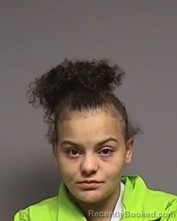 Mugshot of Sarah Oliva Sladich booked in Broome County, New York on August 18, 2026