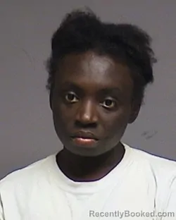 Mugshot of Ladreamah Lashea McNeal booked in Broome County, New York on July 14, 2026