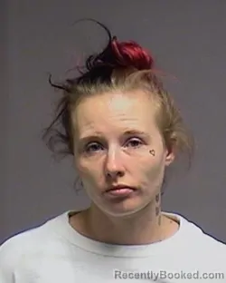 Mugshot of Cheyenne Summer Hinz