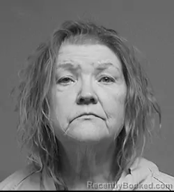 Mugshot of Vicki Ann Alexander booked in Broome County, New York on June 15, 2026