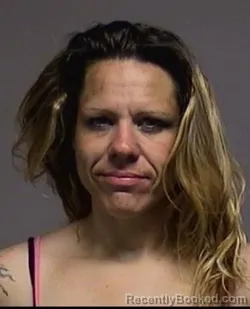 Mugshot of Brandy Pebbles Lane booked in Broome County, New York on April 24, 2026