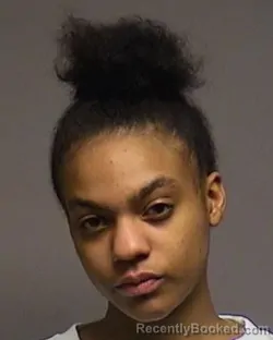 Mugshot of Arayah Katherine Doyle booked in Broome County, New York on April 4, 2026