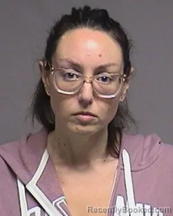 Mugshot of RACHEL Magdalynn VLIET booked in Broome County, New York on June 17, 2026