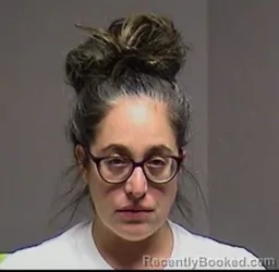 Mugshot of Sharon Anne Sorkin booked in Broome County, New York on April 25, 2026