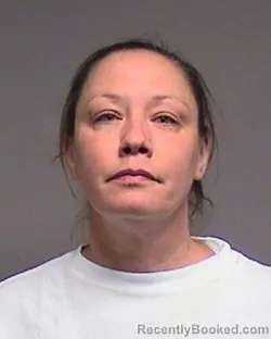 Mugshot of Jennie Rosemary Carey booked in Broome County, New York on June 17, 2026