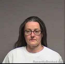 Mugshot of Robin J Knapp booked in Broome County, New York on August 6, 2026