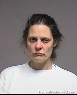Mugshot of Carrie Steigerwald booked in Broome County, New York on August 24, 2026