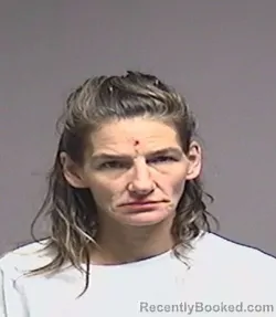 Mugshot of Kristin Ryan Miller booked in Broome County, New York on October 22, 2026