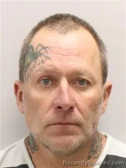 Mugshot of NIKKI LEE MILLINGTON