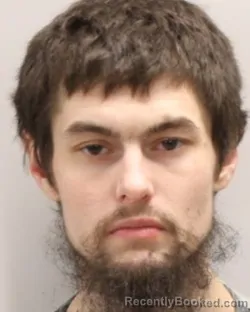 Mugshot of DEVIN MICHAEL FRISICARO