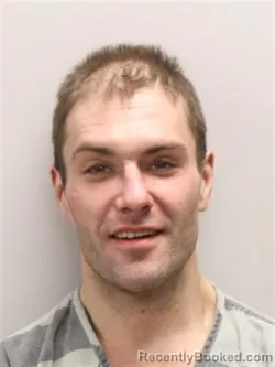 Mugshot of VINCENT VAN WHALEN