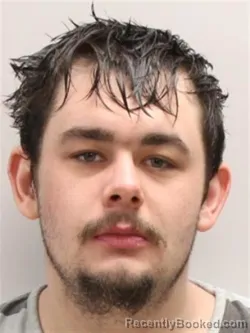 Mugshot of BRANDON MICHAEL DAVIS