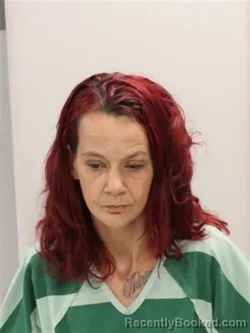 Mugshot of HEATHER LEA DIAZ booked in Cattaraugus County, New York on July 25, 2026