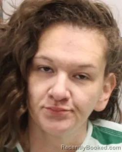 Mugshot of DONIELLE MARIE STOREY booked in Cattaraugus County, New York on March 25, 2026