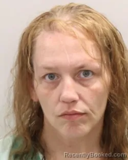 Mugshot of TAMIE COLLEEN MESSINA booked in Cattaraugus County, New York on April 23, 2026