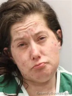 Mugshot of MEGAN DAWN TILLEY