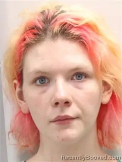 Mugshot of TISHA K HEIN