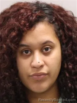 Mugshot of ALIZA MALIK BROWN