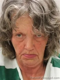 Mugshot of KELLY JEAN DAVIN-ROBAR