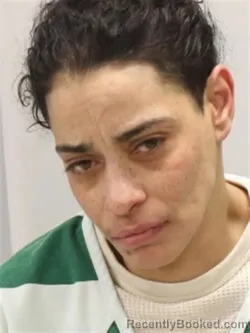 Mugshot of IVONNE SANCHEZ