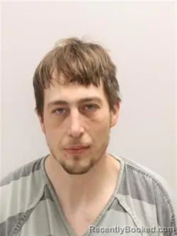 Mugshot of BLAYDON FOSTER NILES