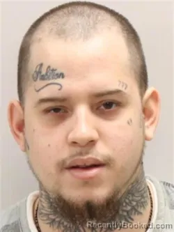 Mugshot of FELIPE OTERO
