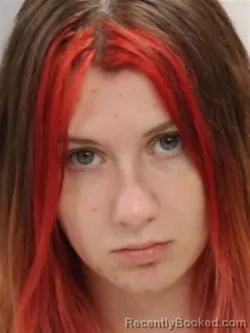 Mugshot of ROBIN MICHELLE HADLEY