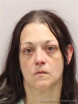 Mugshot of MICHELLE LEE CAIN booked in Cattaraugus County, New York on August 3, 2026