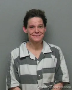 Mugshot of Brandi M Howard booked in Chautauqua County, New York on July 31, 2026