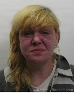 Mugshot of Christal L Pollard