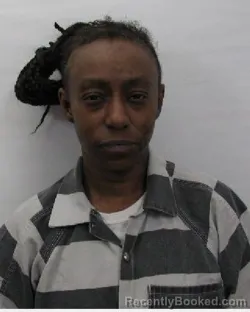 Mugshot of Vanessa Figueredo